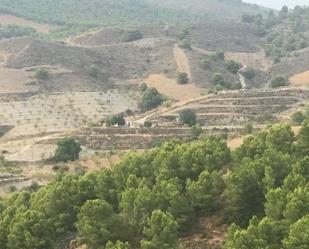 Casa o xalet de lloguer en Lorca amb Terrassa