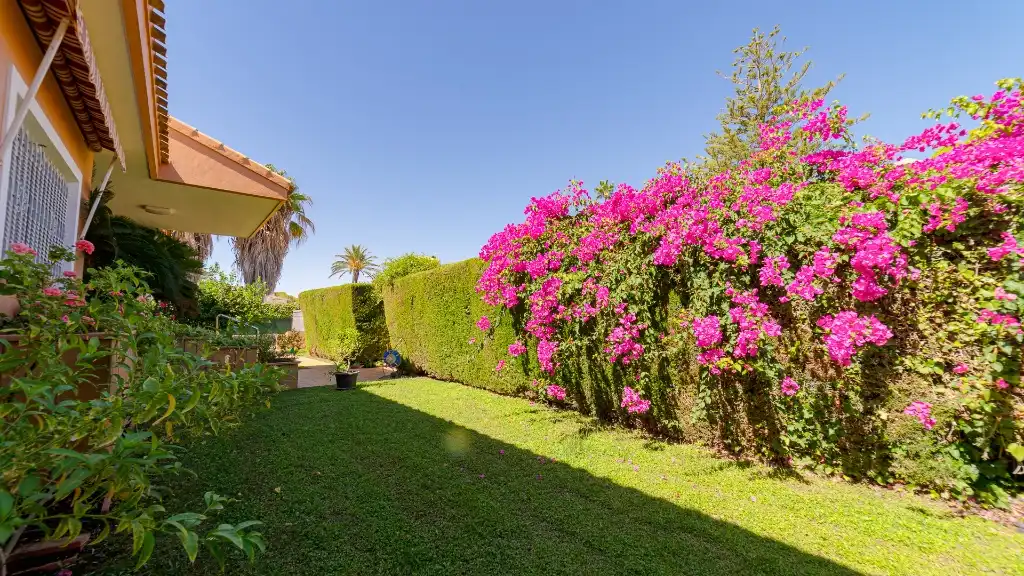 Garden of Houses for sale in Orihuela