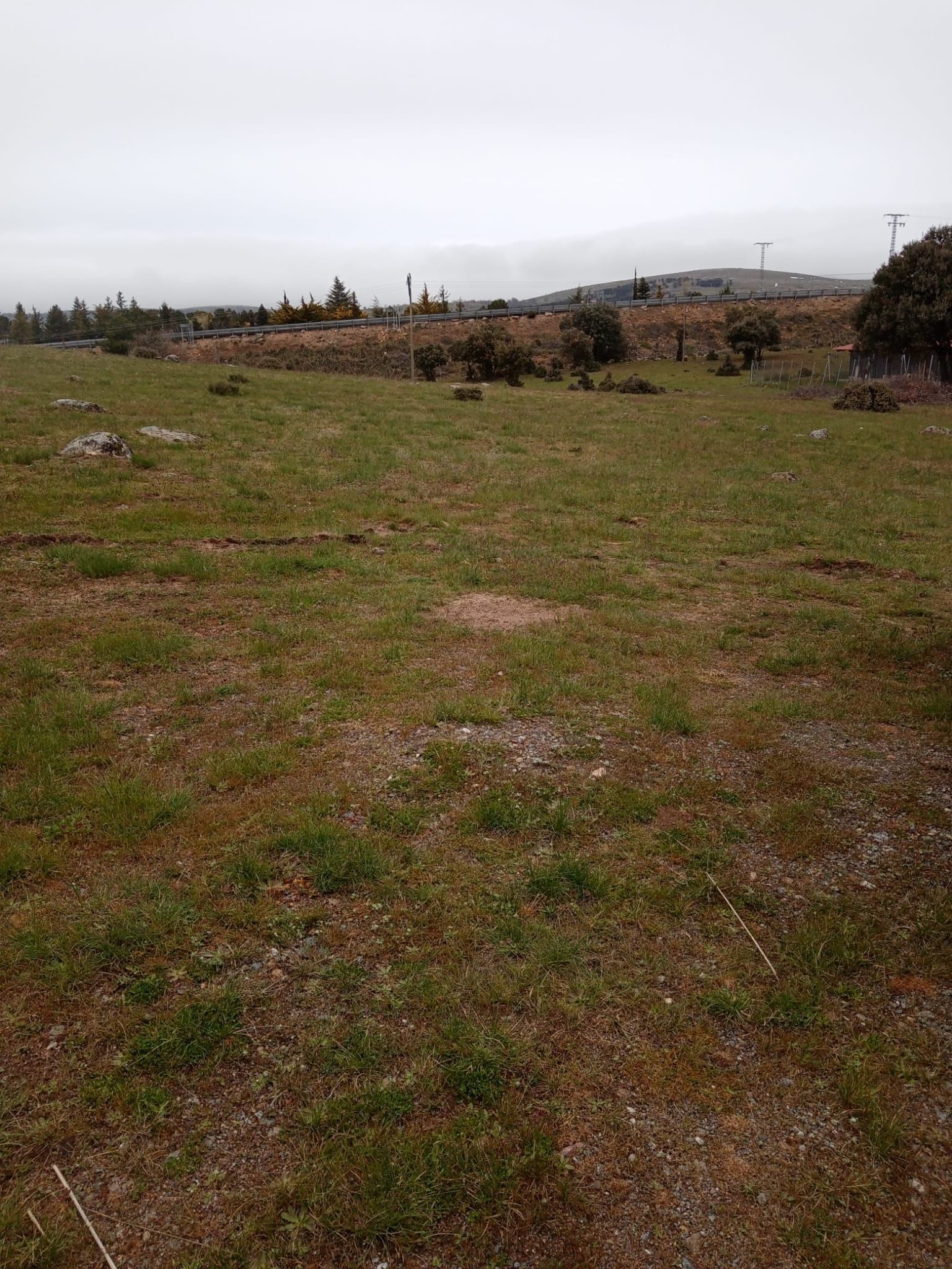 Terreny en venda en Navalperal de Pinares