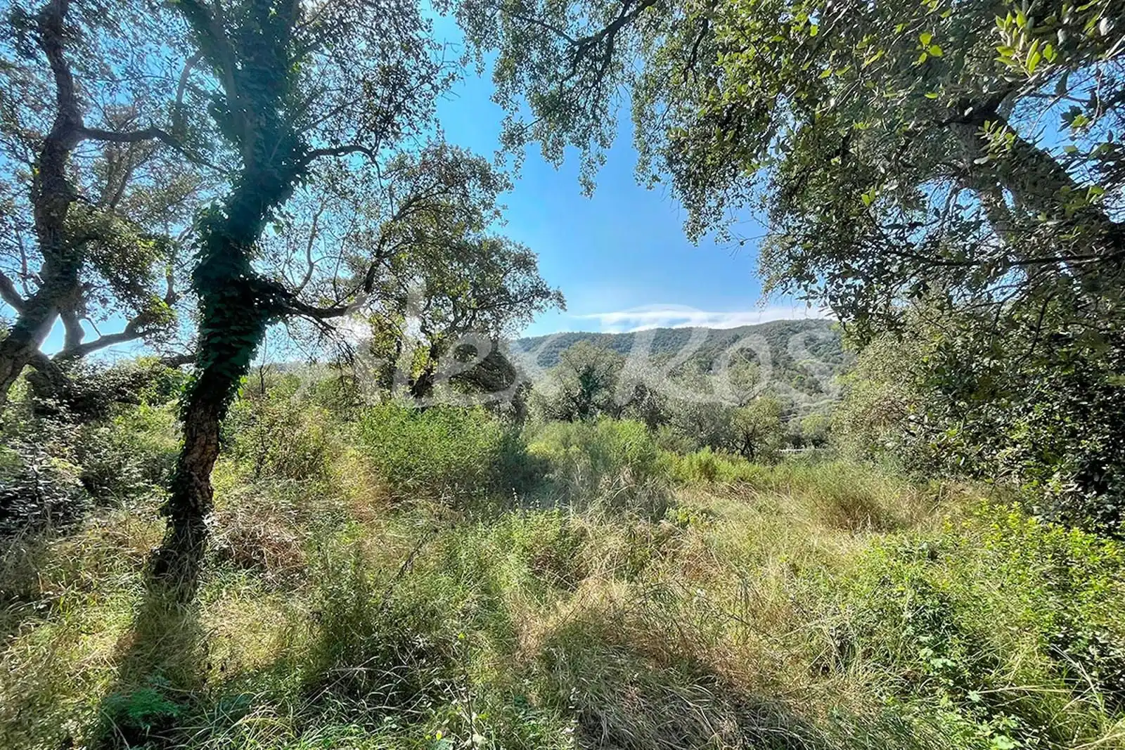 Rural land for sale in Mas Santet, imagen 3