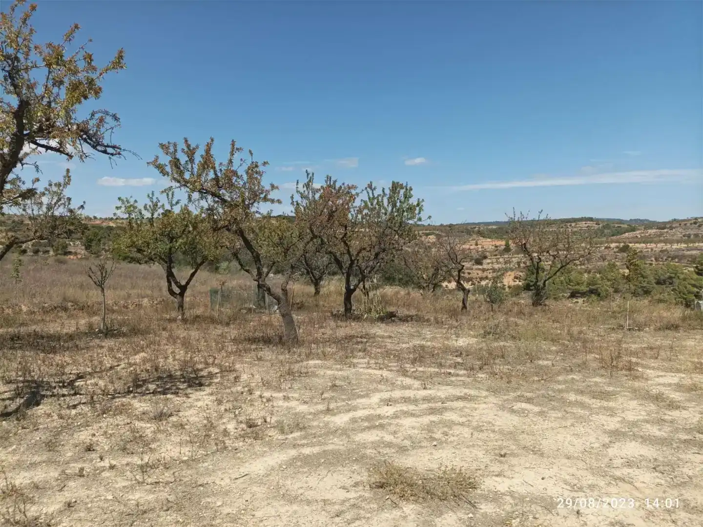 Finca rústica en venda en Bot