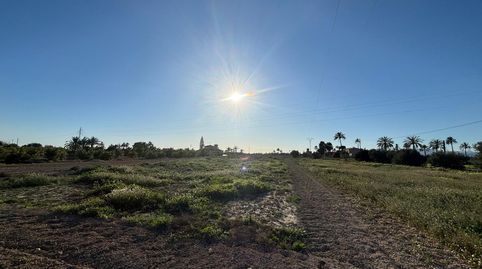 Foto 4 de Terreno en venta en Camí de Casas Juntas, Alzabares, Elche / Elx