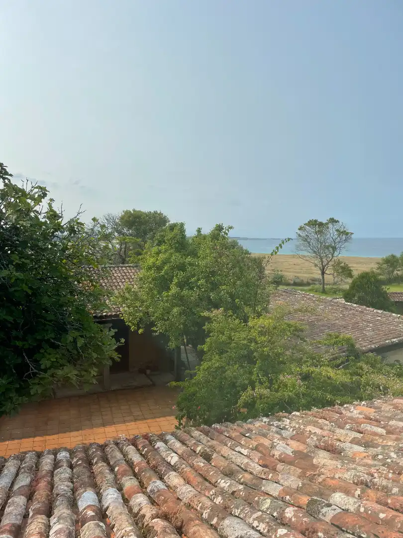 Finca rústica en venta en AC-303, Corrubedo