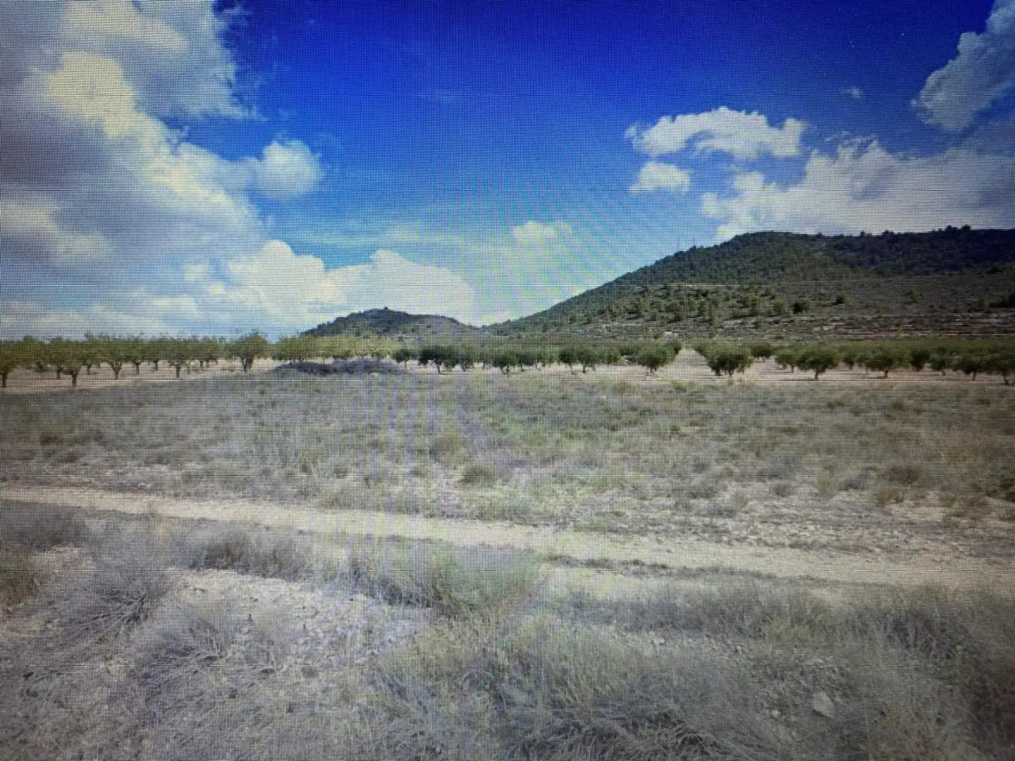 Terreno rustico in vendita a Calle la Paca