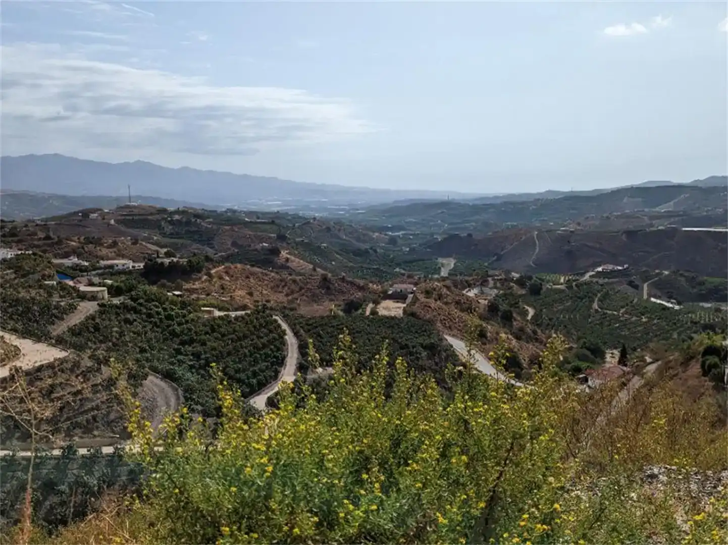 Vista exterior de Finca rústica en venda en Almáchar