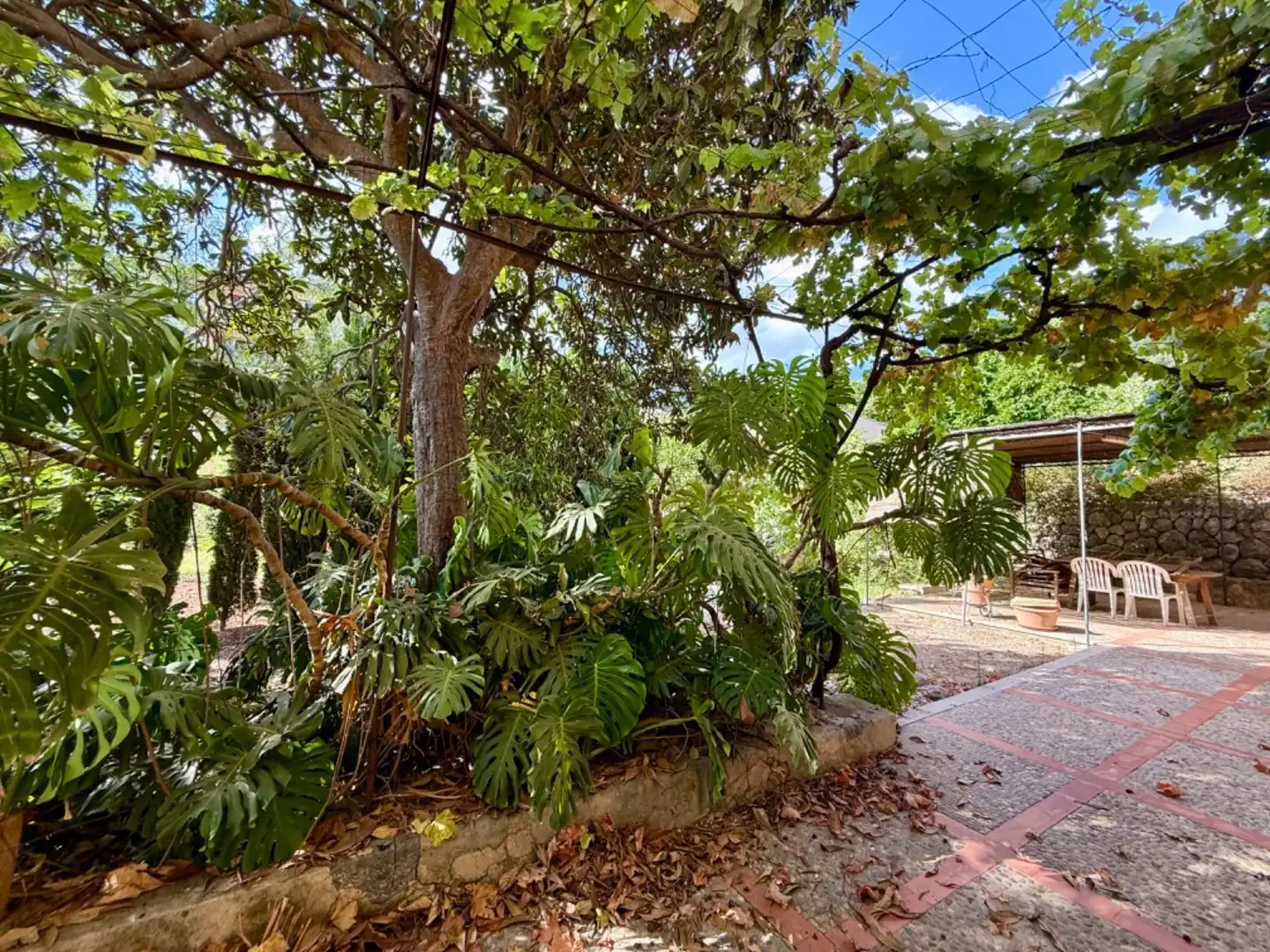 Garden of Country homes for sale in Sóller  with Air Conditioner, Heating and Private garden