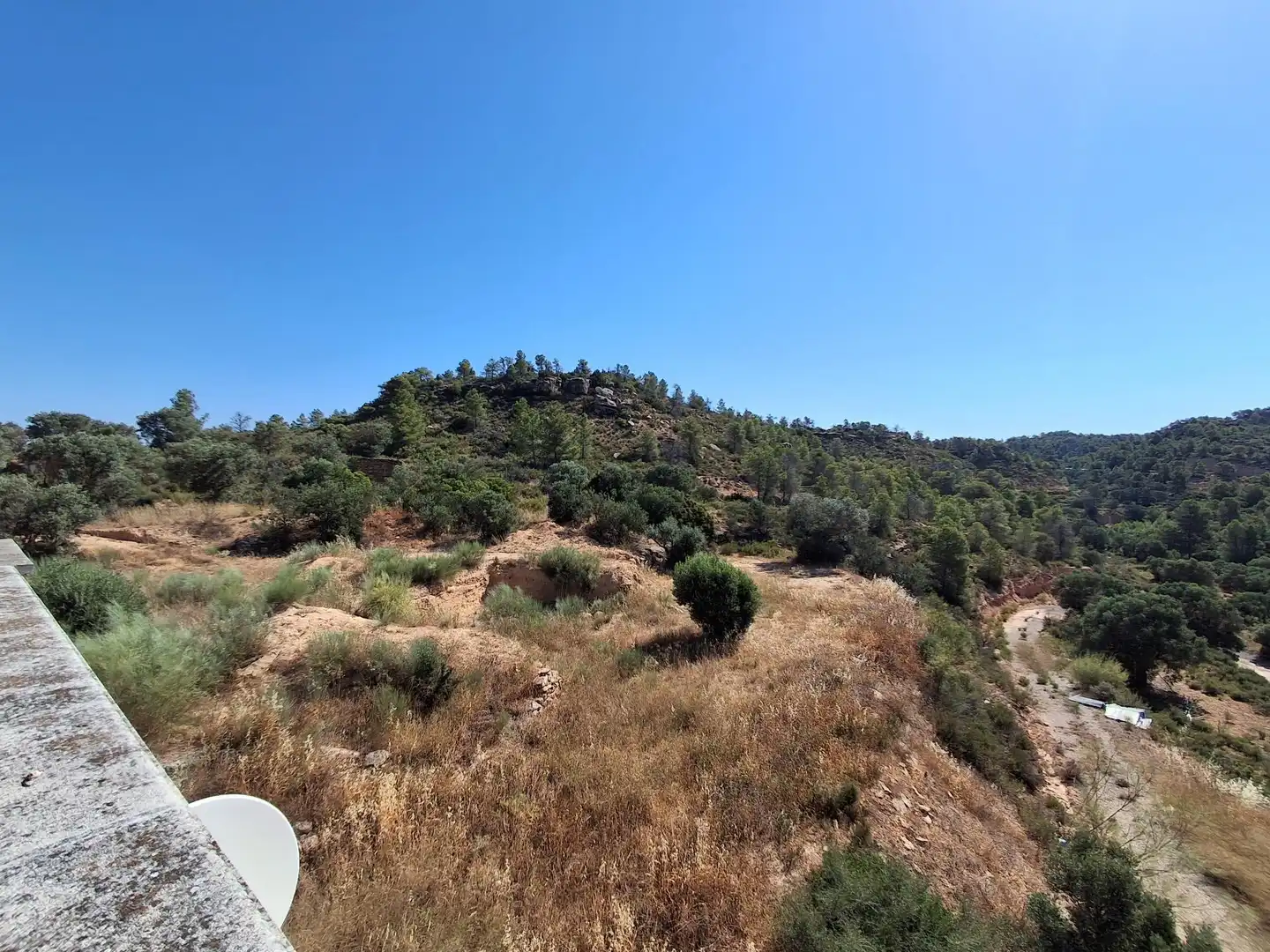 Finca rústica en venda en Riba-roja d'Ebre
