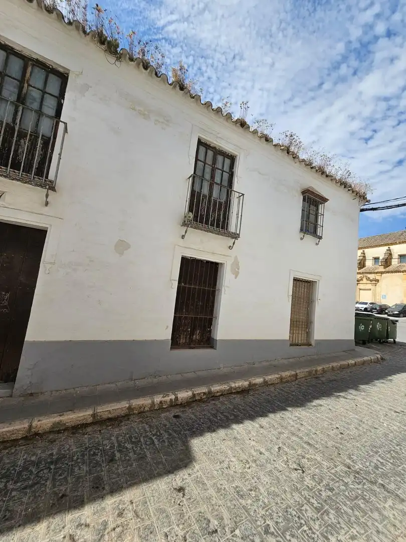 Exterior view of Houses for sale in Osuna