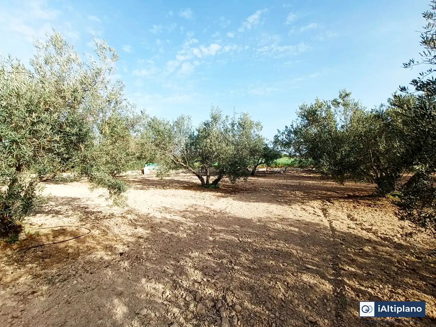 Casa o xalet en venda en Baza amb Jardí privat, Piscina i Moblat