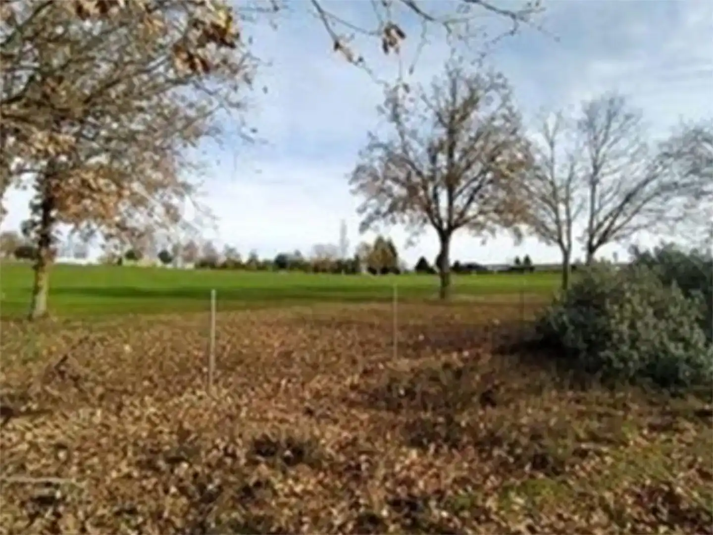 Finca rústica en venda en Valverde de la Virgen