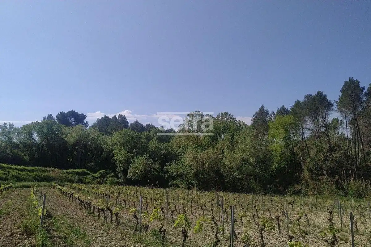 Rustikales Grundstück zum Verkauf in Sant Martí Sarroca, imagen 5
