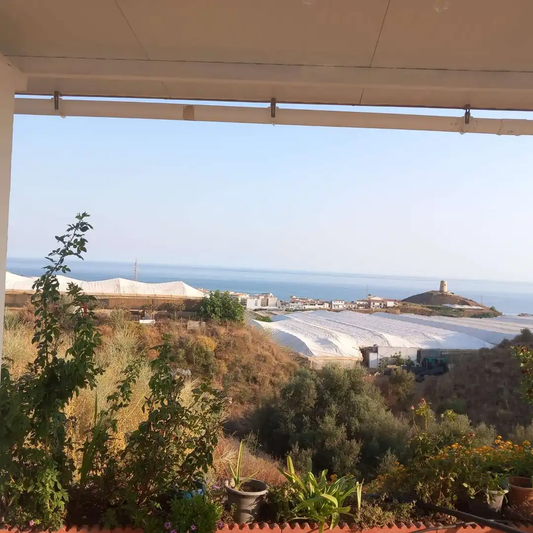 Jardín de Finca rústica de alquiler en Torrox con Terraza