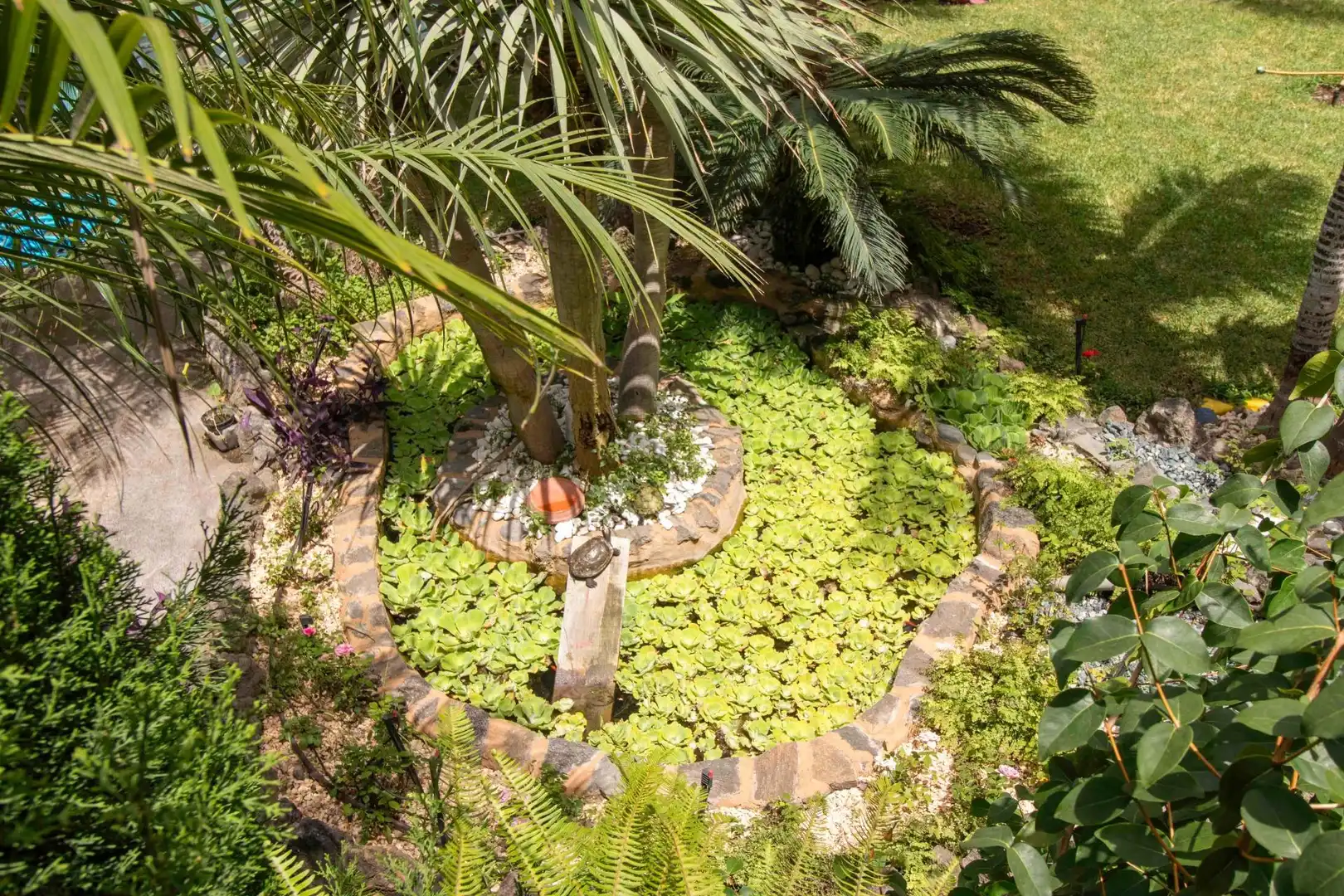 Jardí de Casa o xalet en venda en Icod de los Vinos amb Jardí privat, Terrassa i Traster