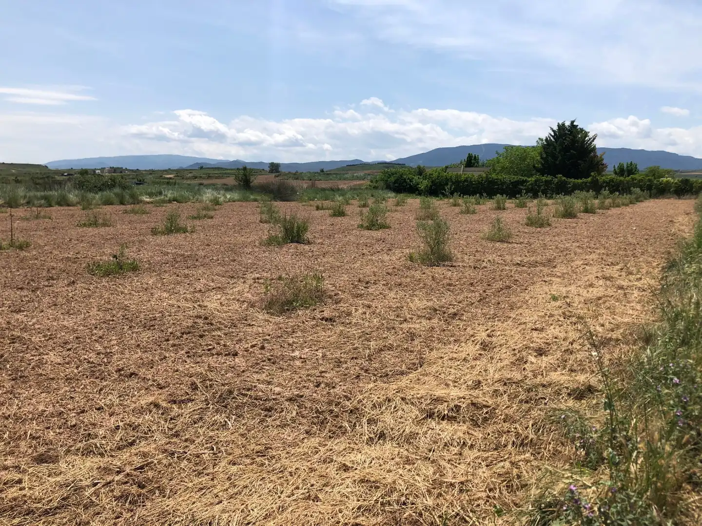 Terreny rústic en venda a Murillo de Río Leza, imagen 6