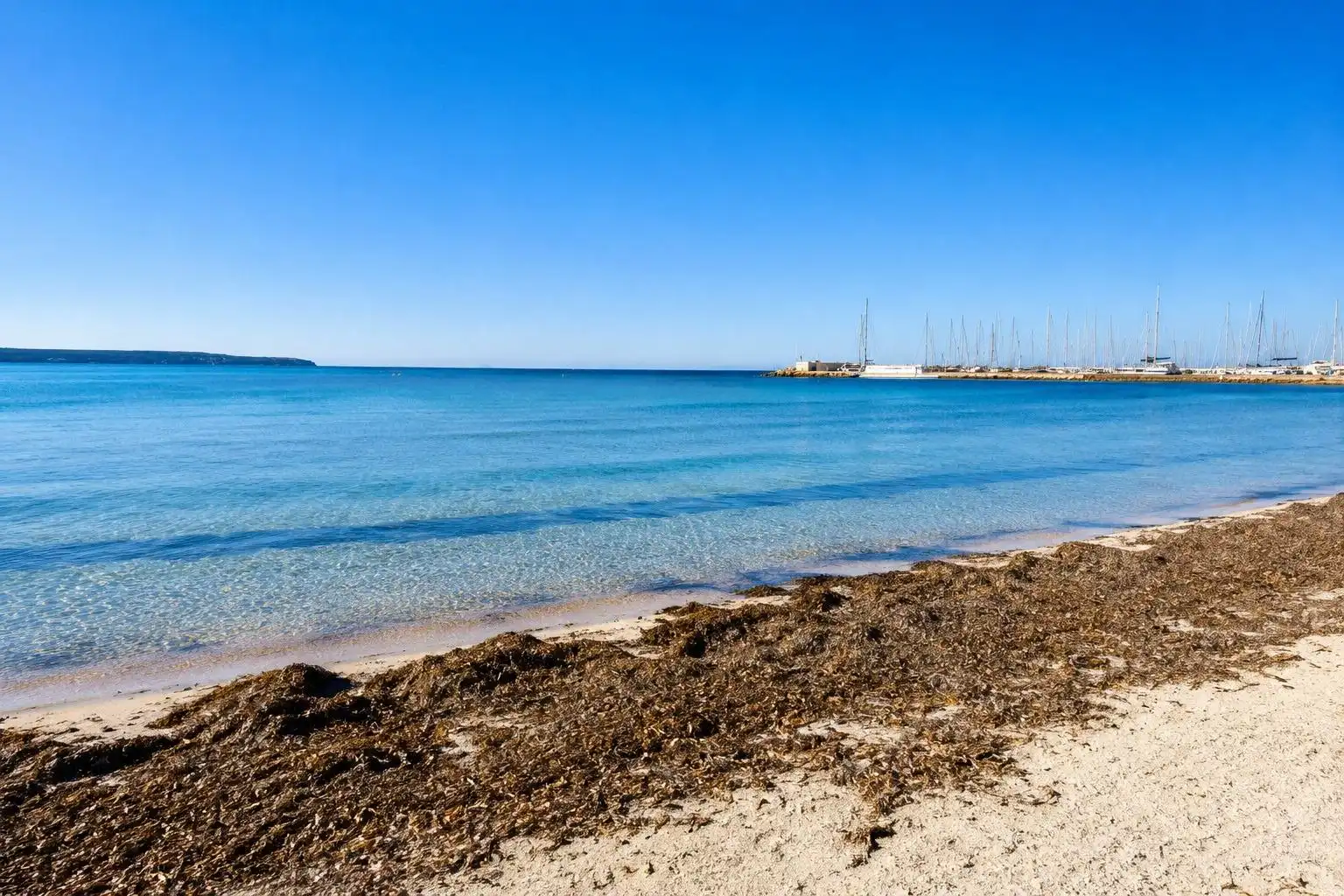 Vista exterior de Planta baixa en venda en  Palma de Mallorca amb Aire condicionat, Terrassa i Traster