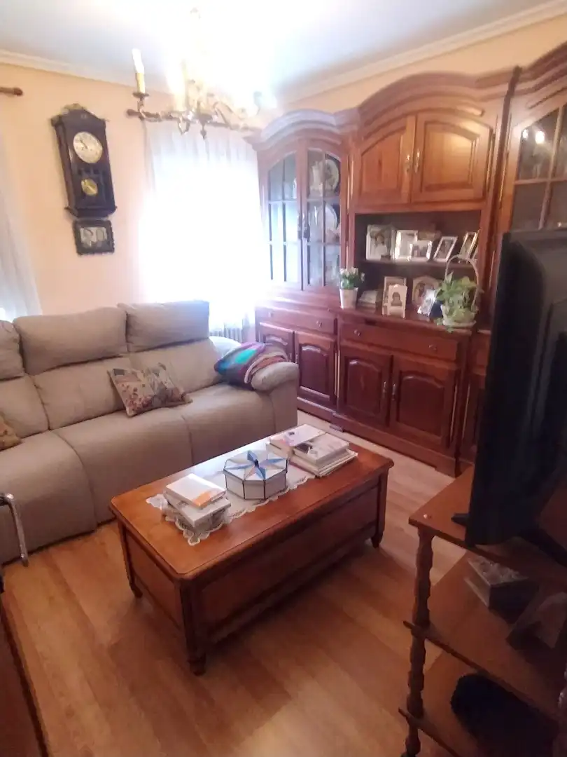 Sala d'estar de Pis en venda en Mieres (Asturias) amb Calefacció, Jardí privat i Parquet
