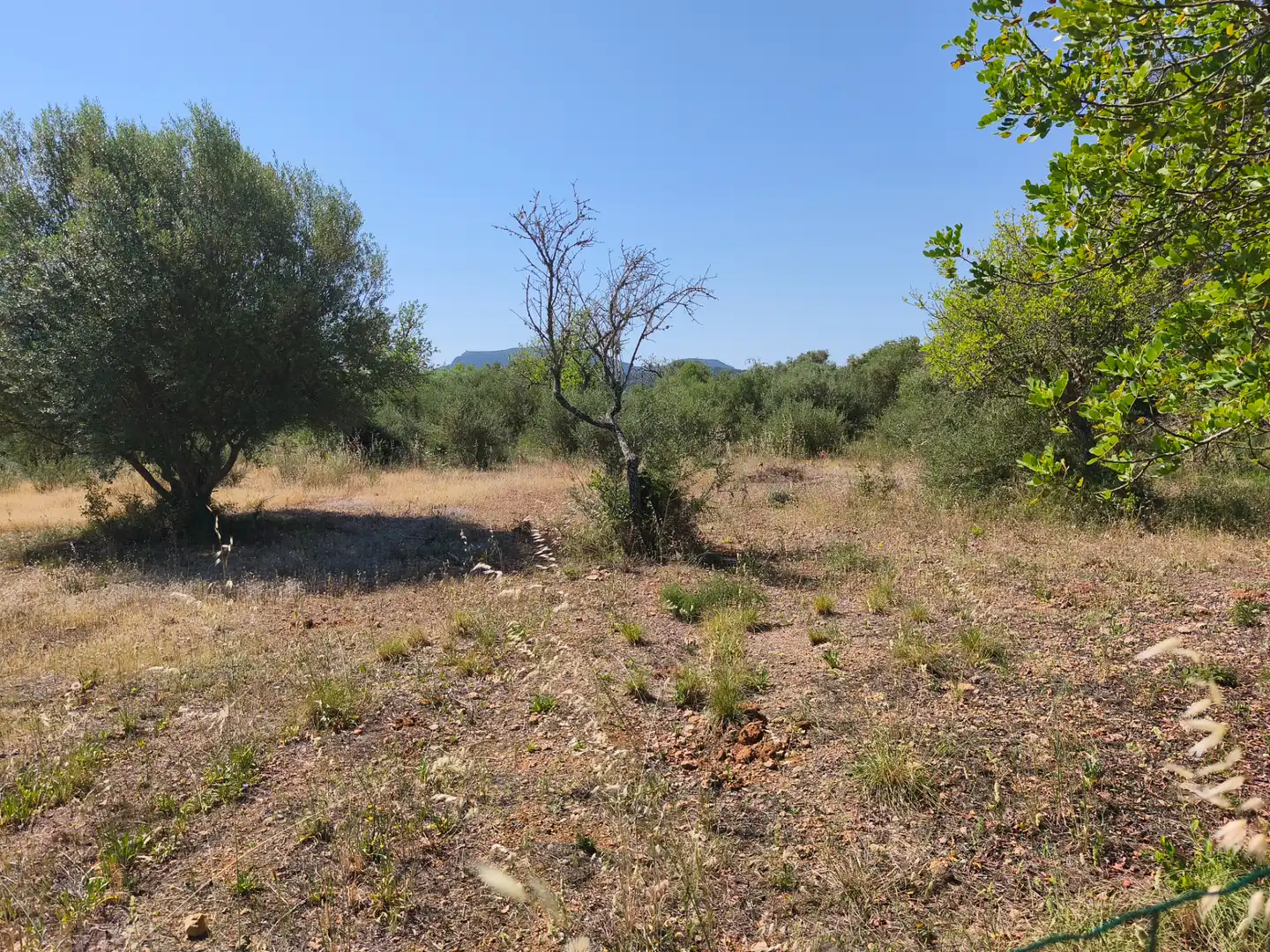 Villa mit Garten zum Verkauf in Algaida, imagen 12
