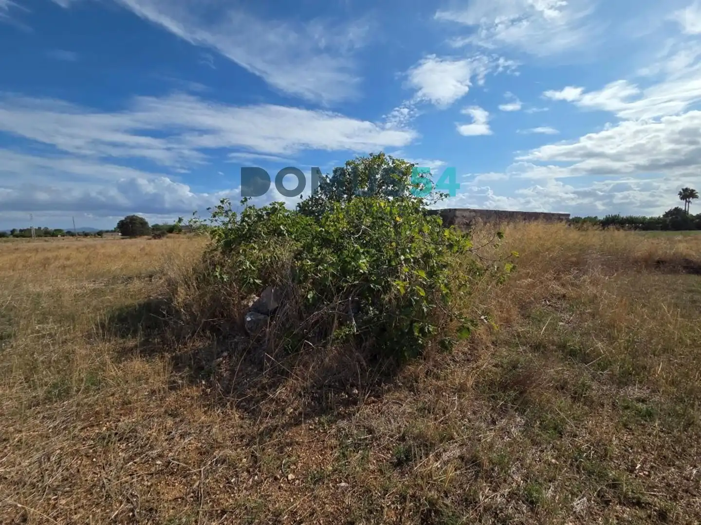 Terreny rústic en venda a Sa Pobla, imagen 3
