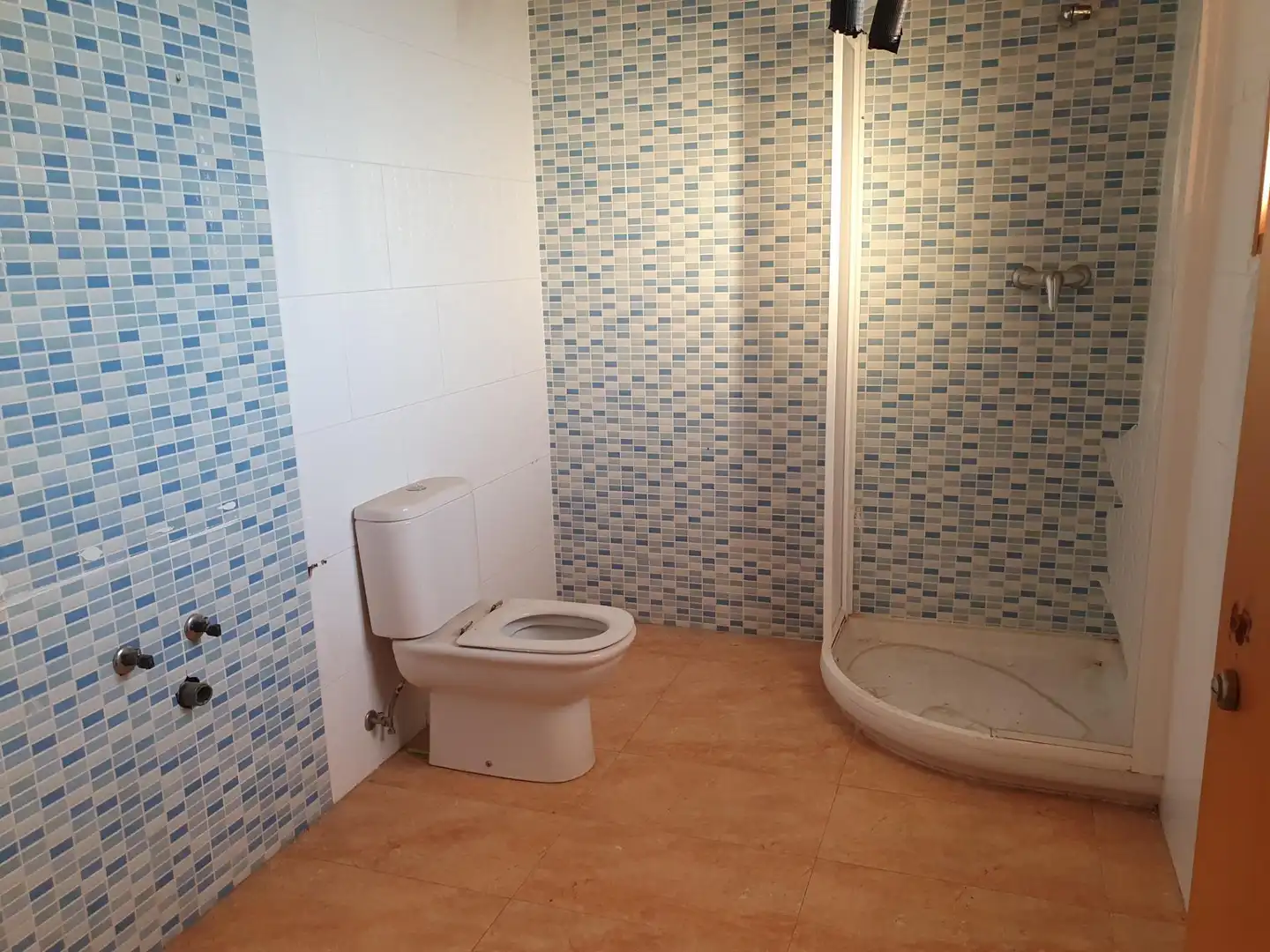 Bany de Casa o xalet en venda en Ceutí amb Jardí privat, Terrassa i Piscina