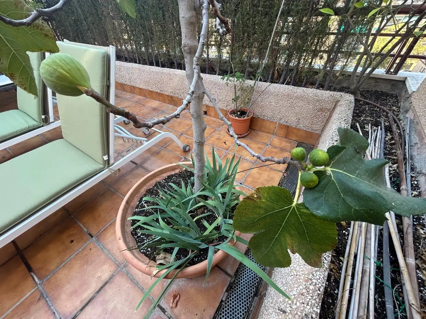 Attique avec terrasse à louer à Zaidín, imagen 5