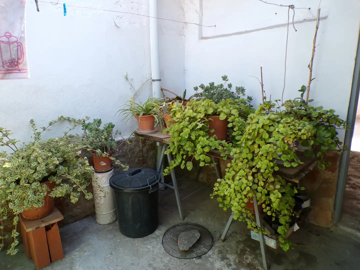 Terrassa de Casa o xalet en venda en Tavernes Blanques amb Jardí privat