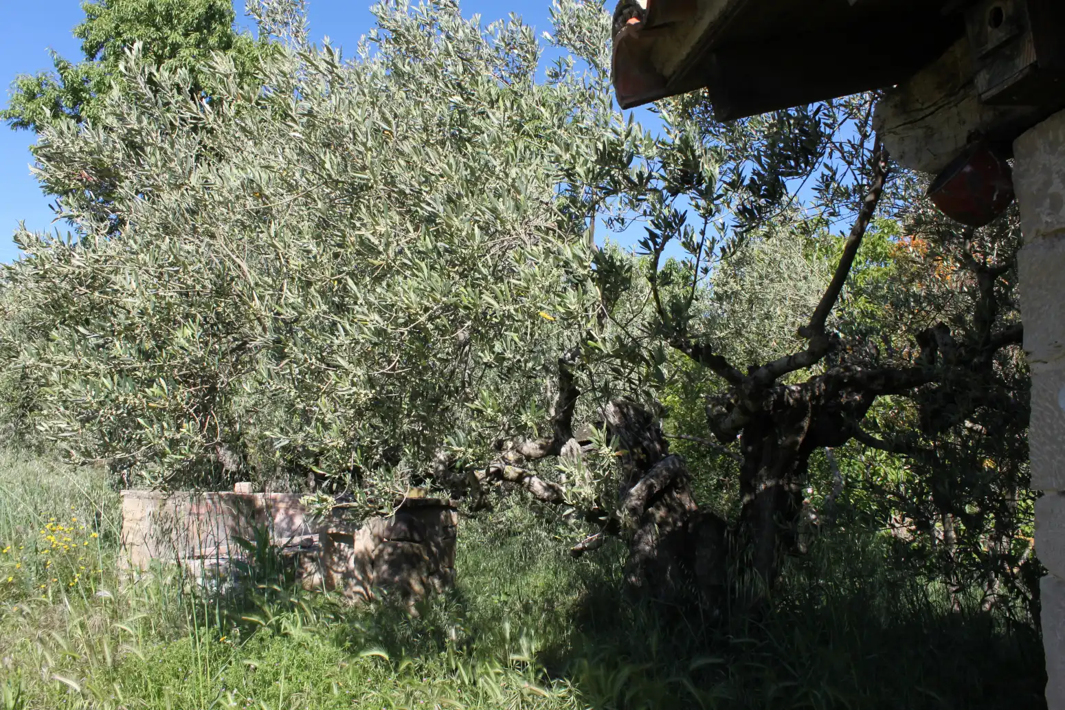 Jardín de Terreno en venta en Tafalla