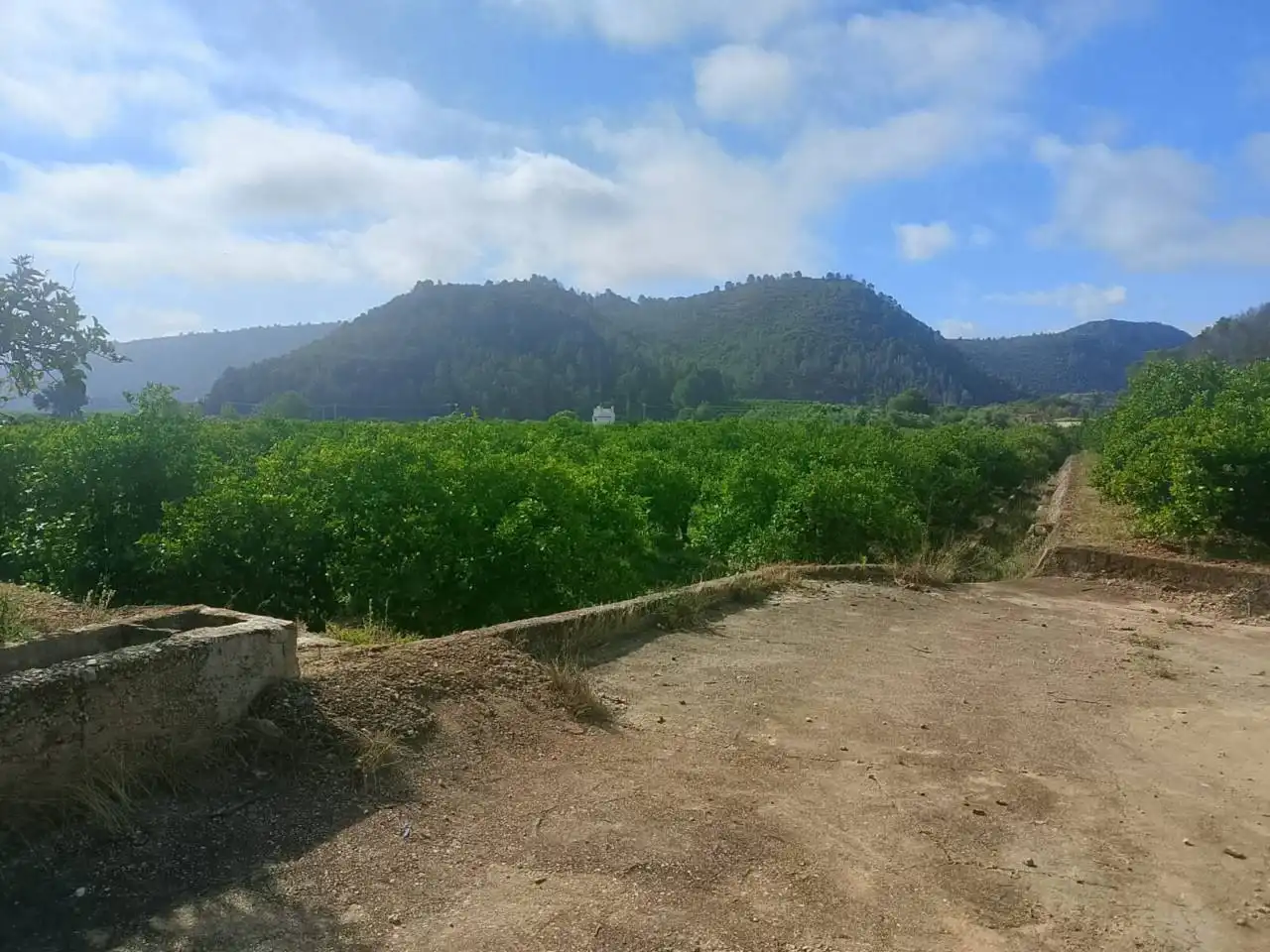 Land for sale in L'Atzúbia