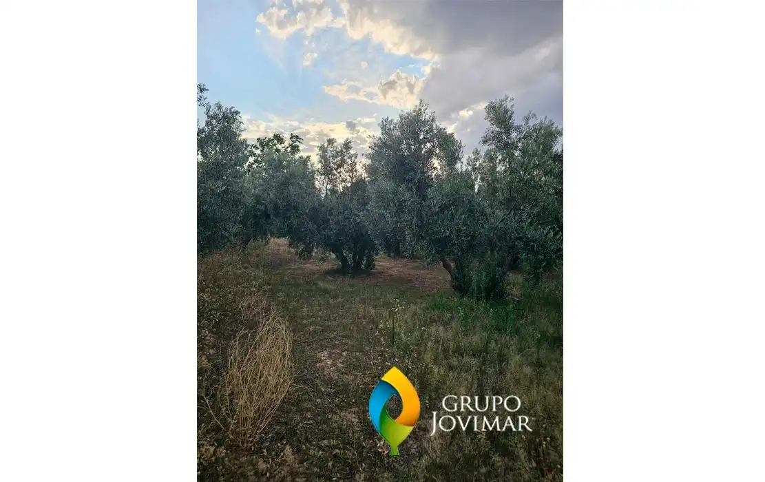 Rustikales Grundstück zum Verkauf in Guadix, imagen 11