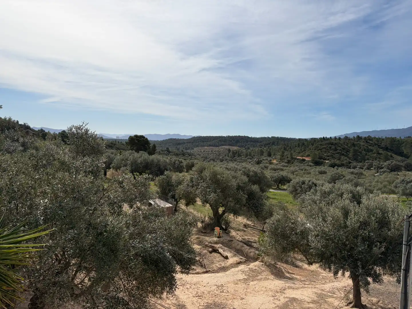 Finca rústica en venta en Flix
