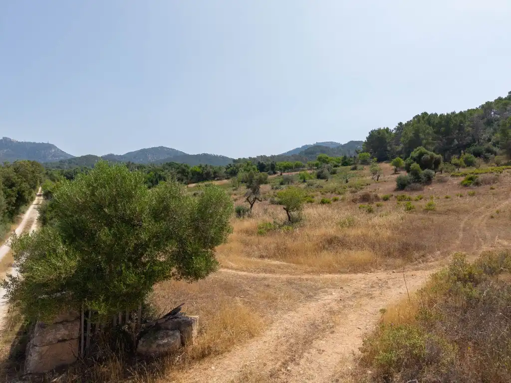 Rural land for sale in Felanitx Poble, imagen 3