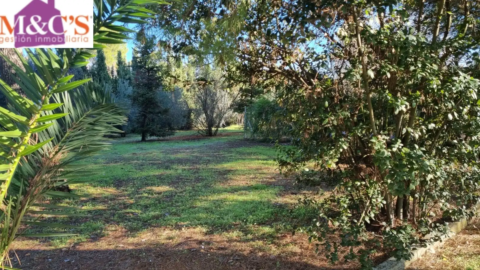 Chalet en venta en Villamayor de Calatrava, imagen 17