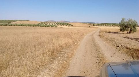 oferta de finca con agua , immagine 4