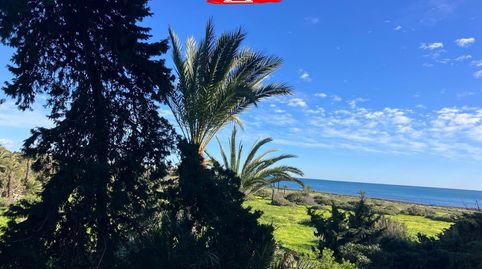 Foto 4 de Piso en venta en Calle Pleamar, Punta Prima, Torrevieja