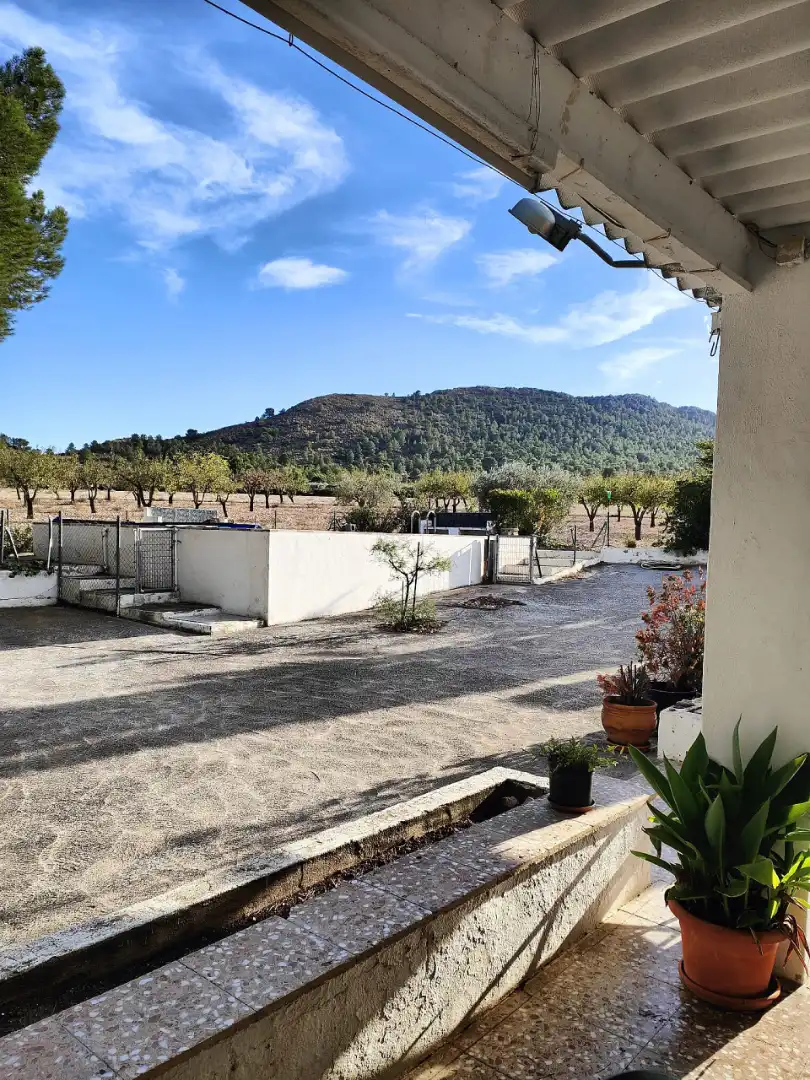 Jardí de Casa o xalet en venda en Yecla amb Jardí privat, Terrassa i Piscina