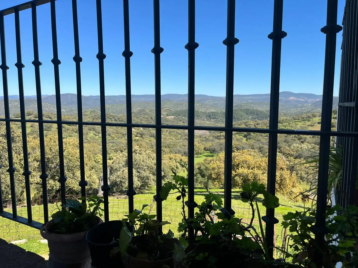 Terreni e lotti in vendita a Zufre, imagen 12