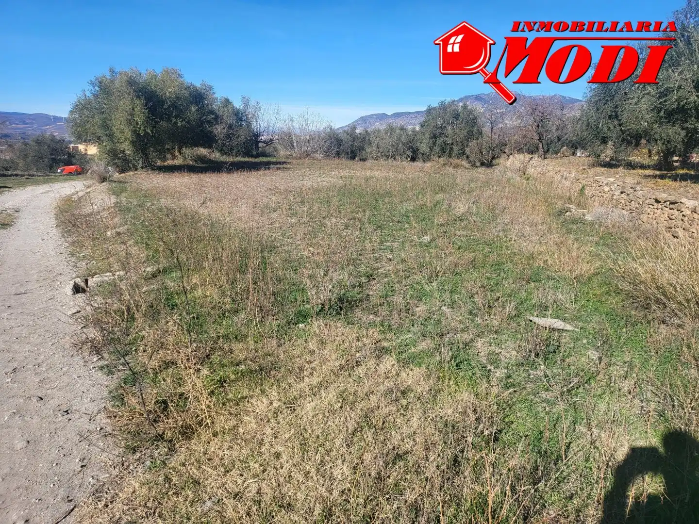 Lands and plots for sale in POLÍGONO 3 PARCELA 142 00, imagen 6