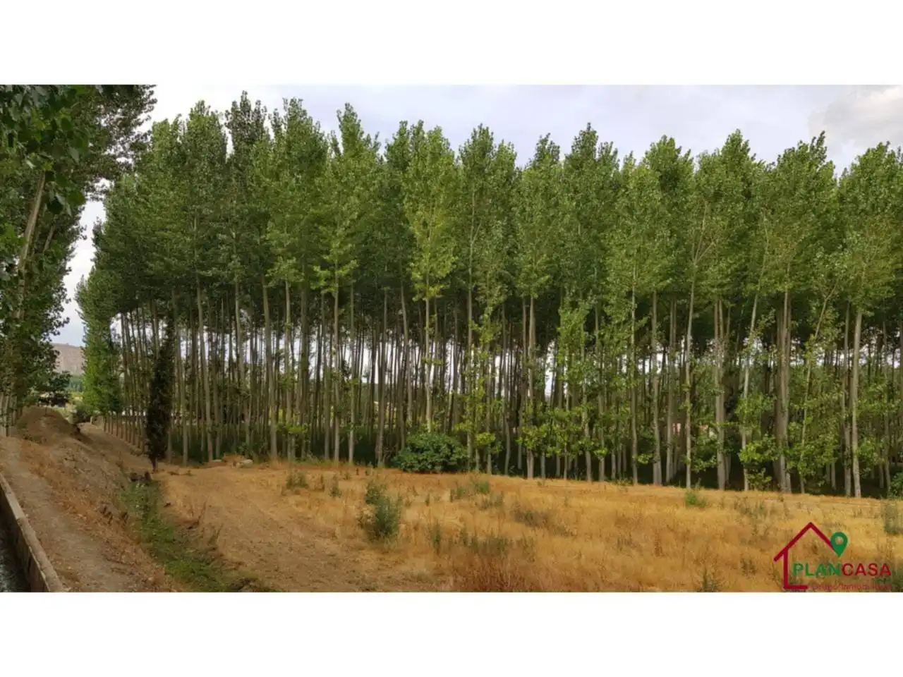 Land for sale in Purullena