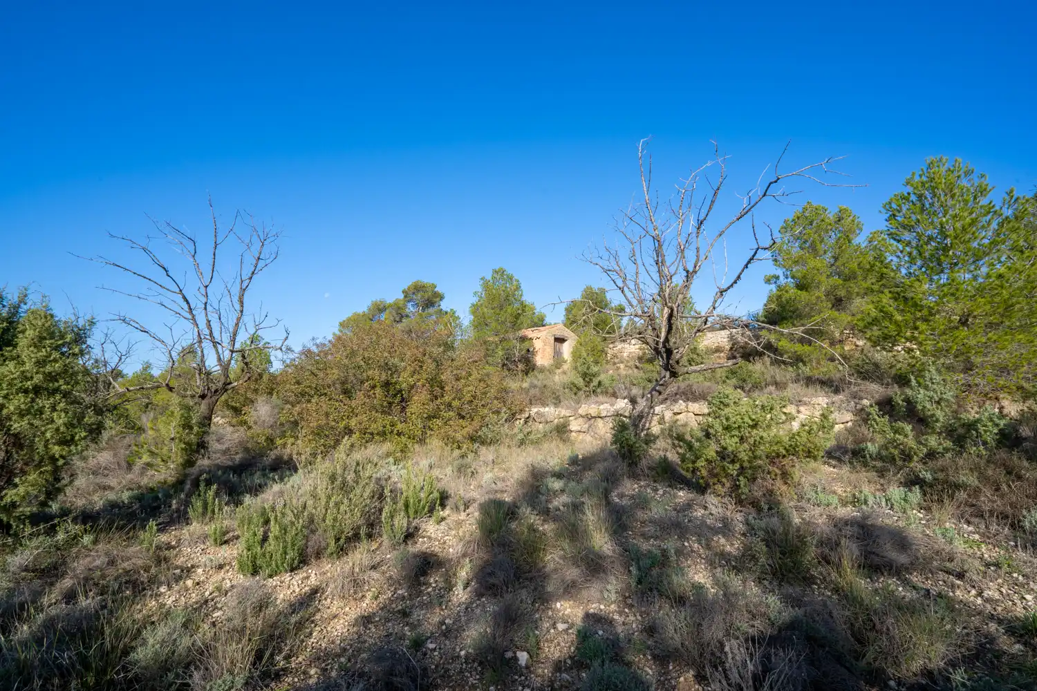 Rural land for sale in Plaça de l'Esglesia 4, imagen 9