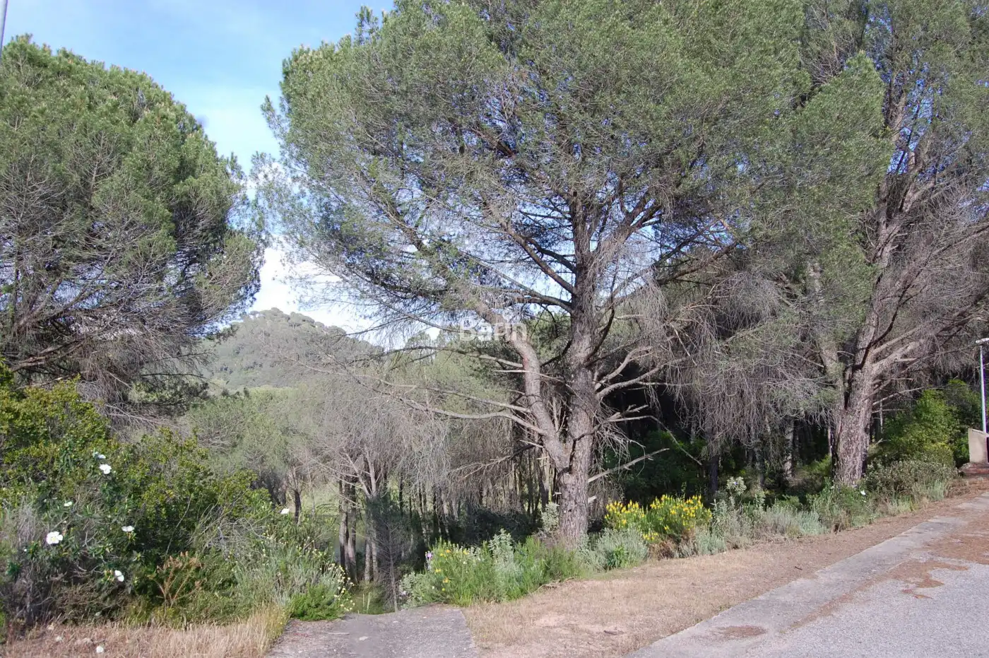 Lands and plots for sale in Periurbano Oeste - Sierra, imagen 3