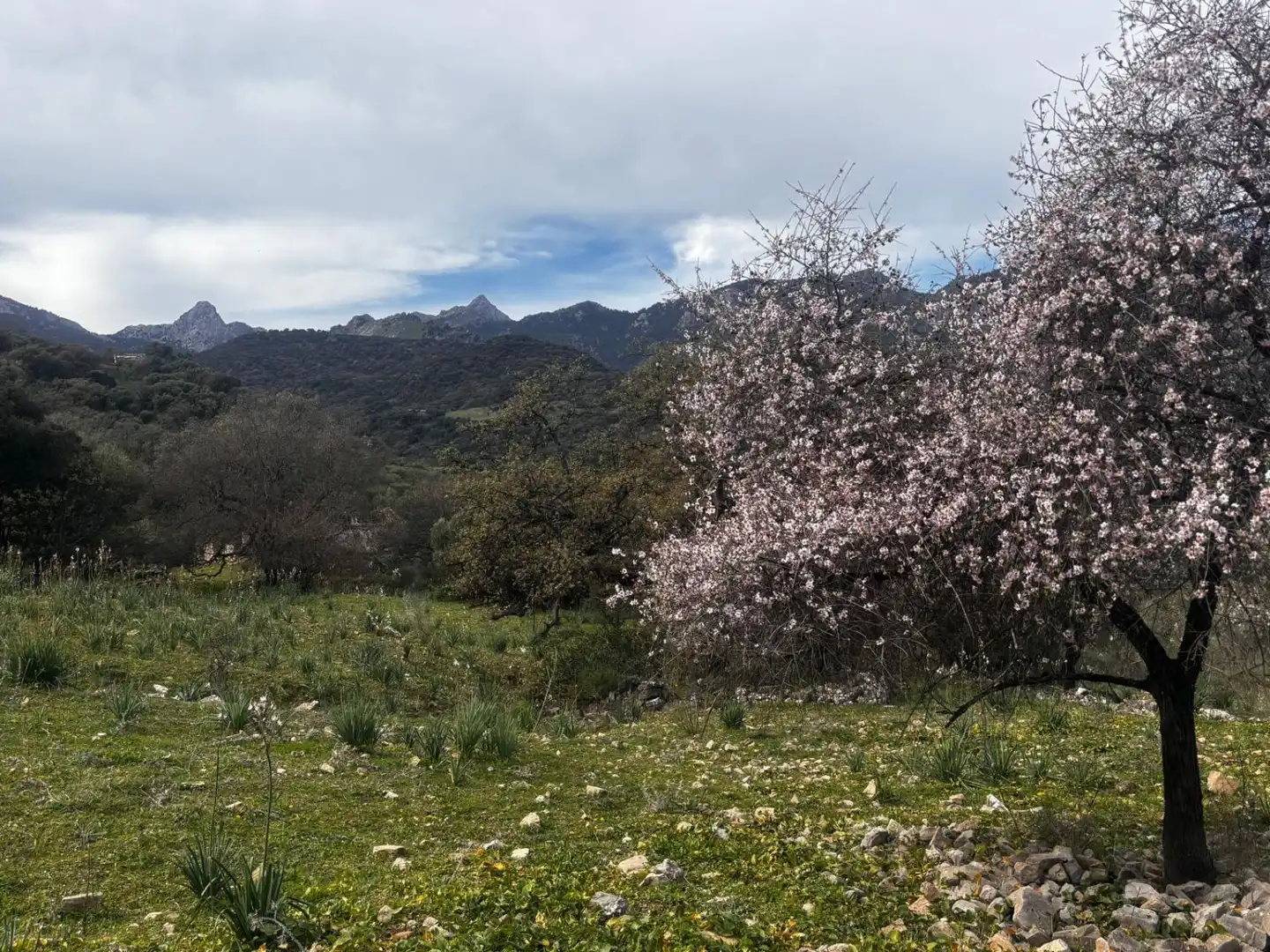 Terrenys i solars en venda a Grazalema, imagen 2