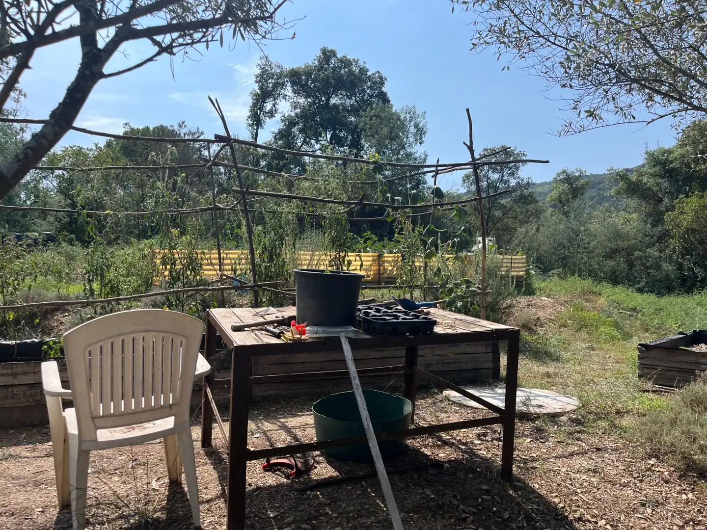 Jardín de Terreno en venta en Sant Martí de Llémena