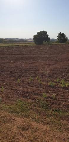 Terreno en Venta en Plaza la Plazuela, 8 en Alberite