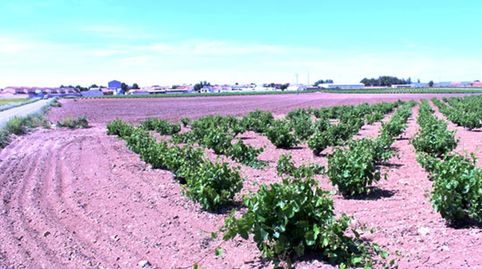 Se vende Solar Urbano en Las Mesas, (Cuenca), imatge 2