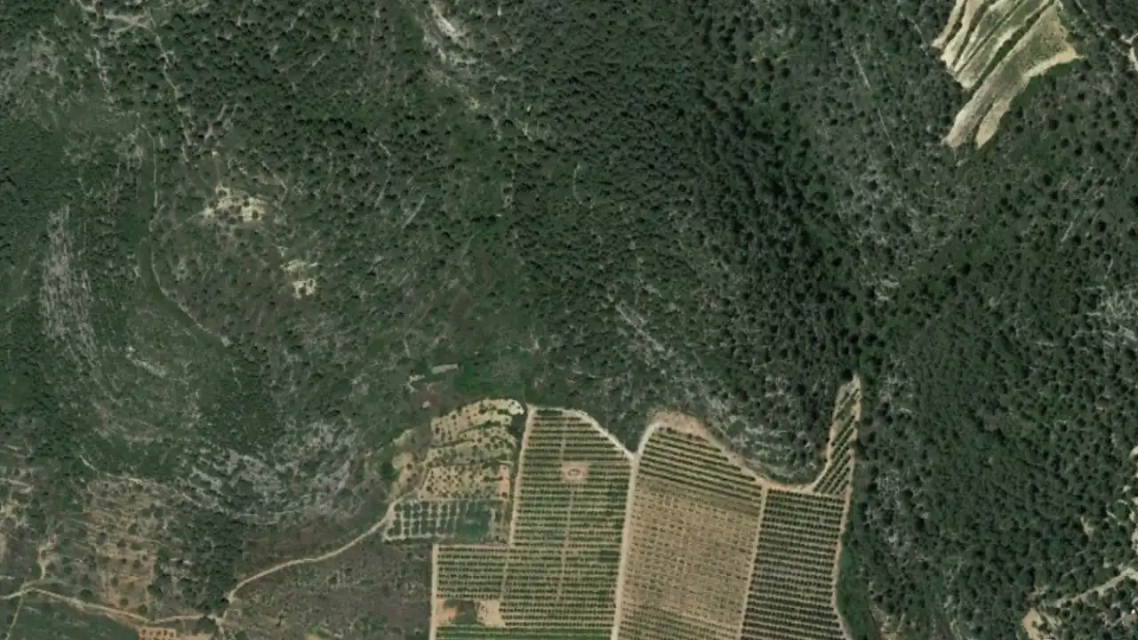 Rural land for sale in Ptda San Miguel, Timba y Palillo, imagen 3