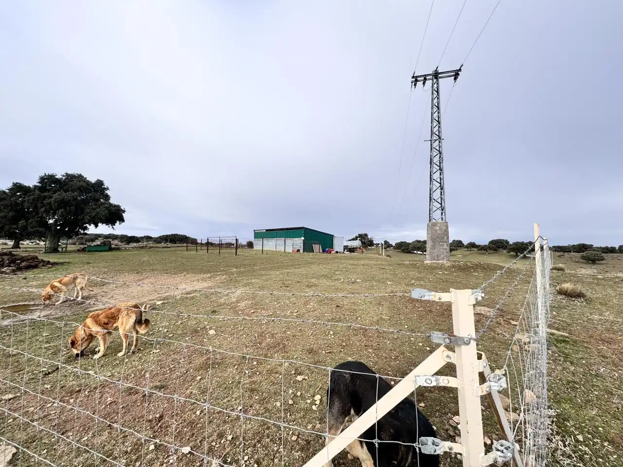Terreno en venta en Cillán