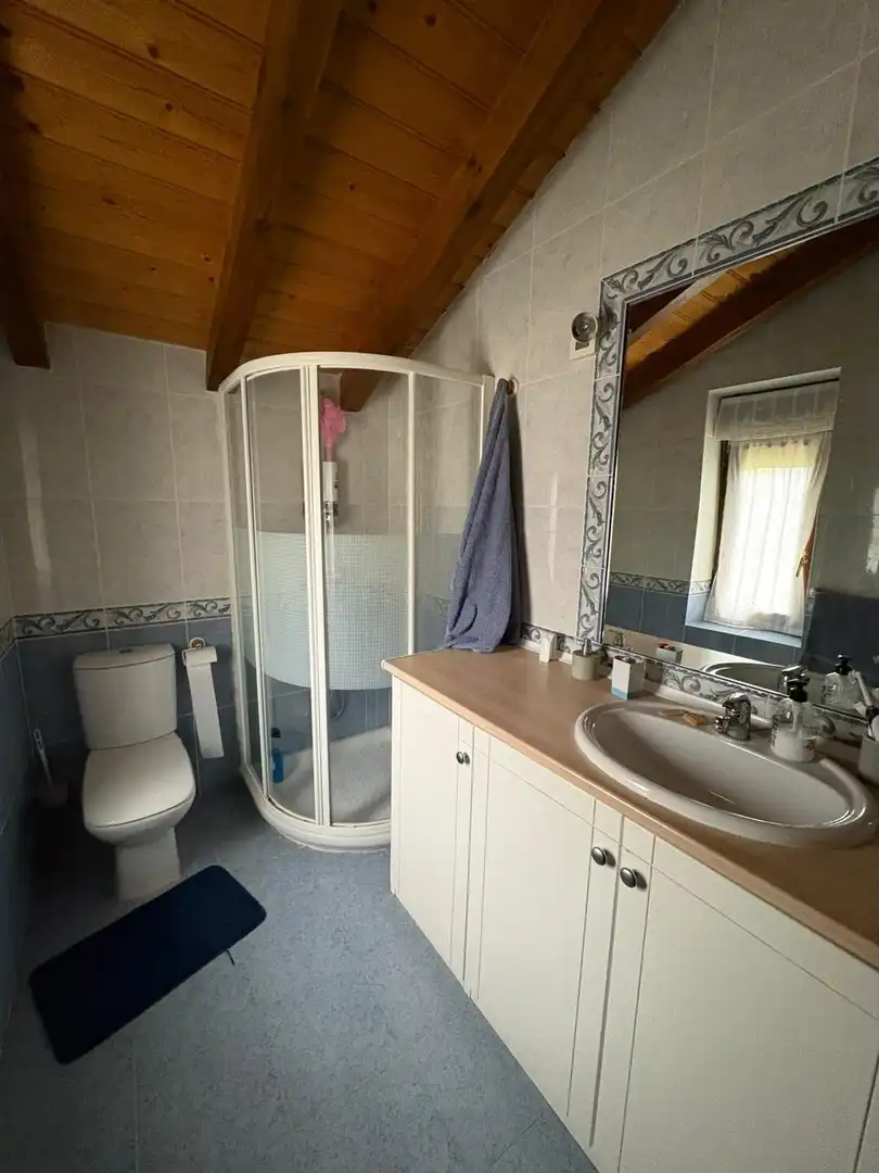Baño de Casa o chalet en venta en Valle de Mena con Jardín privado, Terraza y Balcón