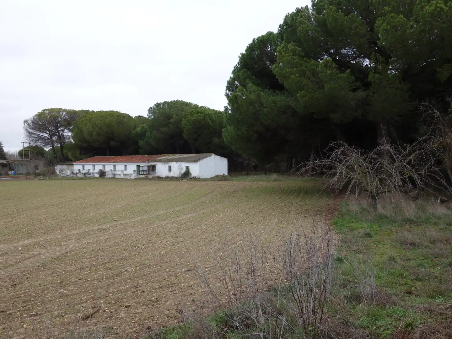 Terreno rustico in vendita a Tudela de Duero
