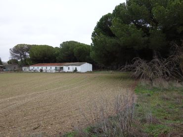 Terreny rústic en venda a Tudela de Duero
