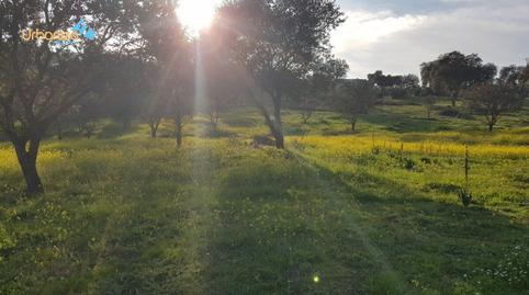 Foto 4 von Residential zum Verkauf in Calle Hortelano, Dehesilla de Calamón - Campomanes, Badajoz Capital