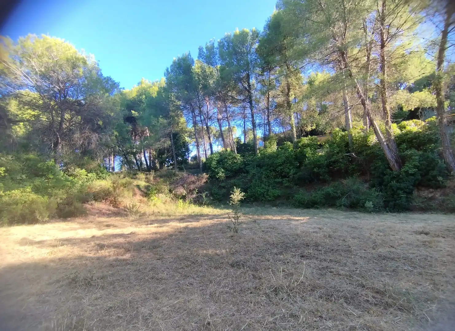 Terreny rústic de lloguer a Els Hostalets de Pierola, imagen 18